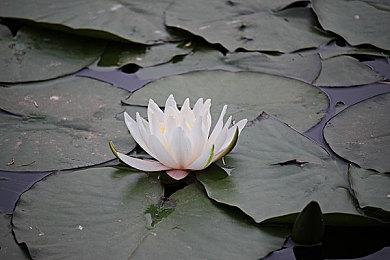 Roguelite角色扮演《未探索2》6月3日登陆Xbox